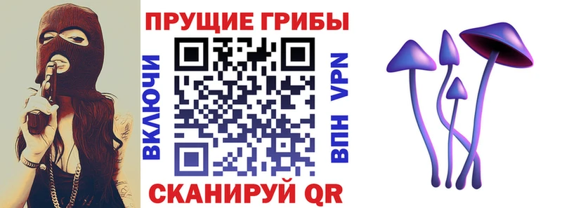 Псилоцибиновые грибы Psilocybe блэк спрут маркетплейс Агидель